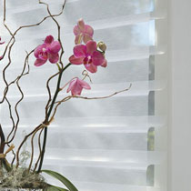 Persianas Shangri-La