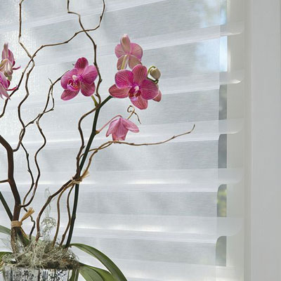 Persianas Shangri-La